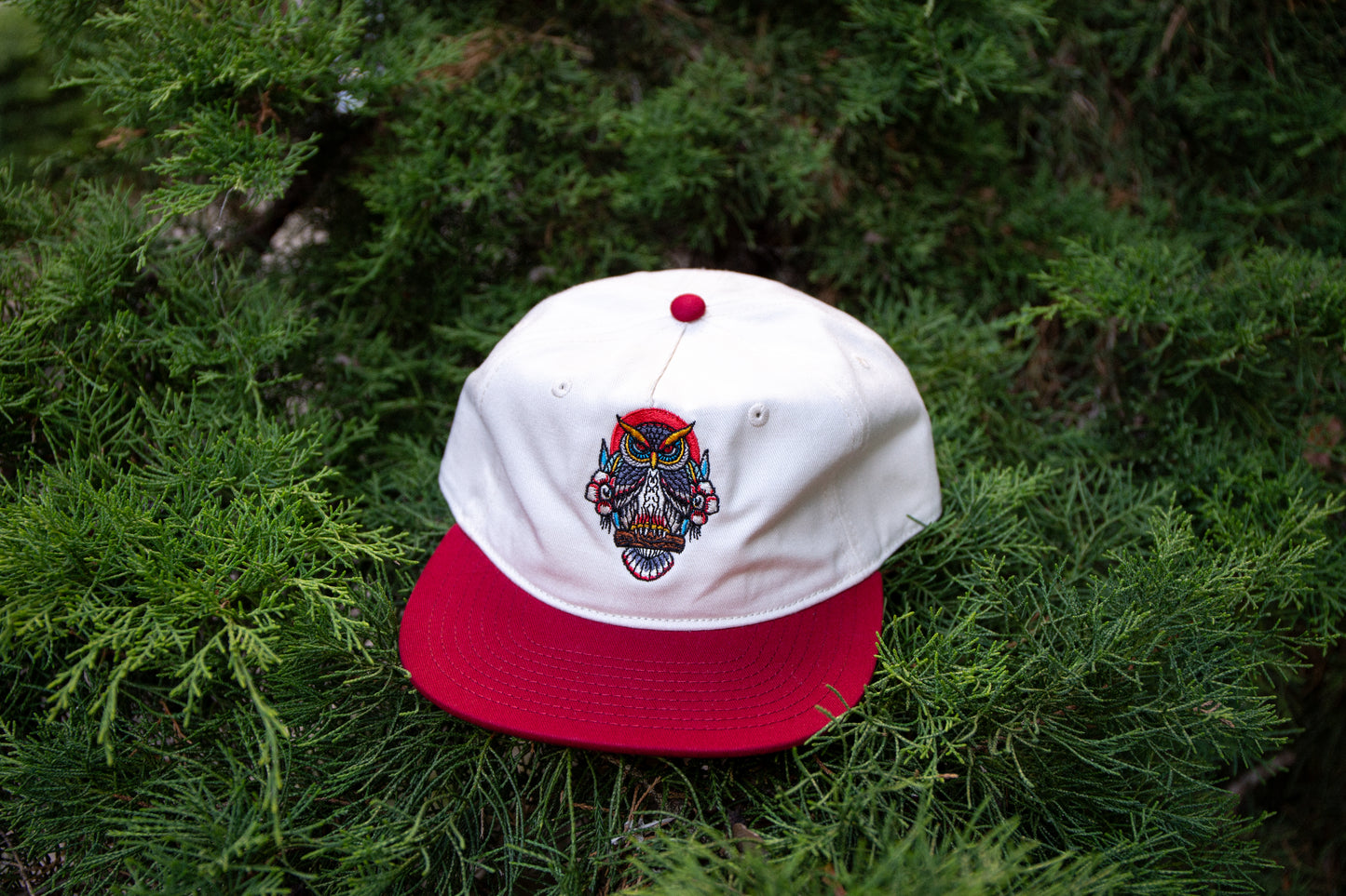 Owl Caps 4 different Styles